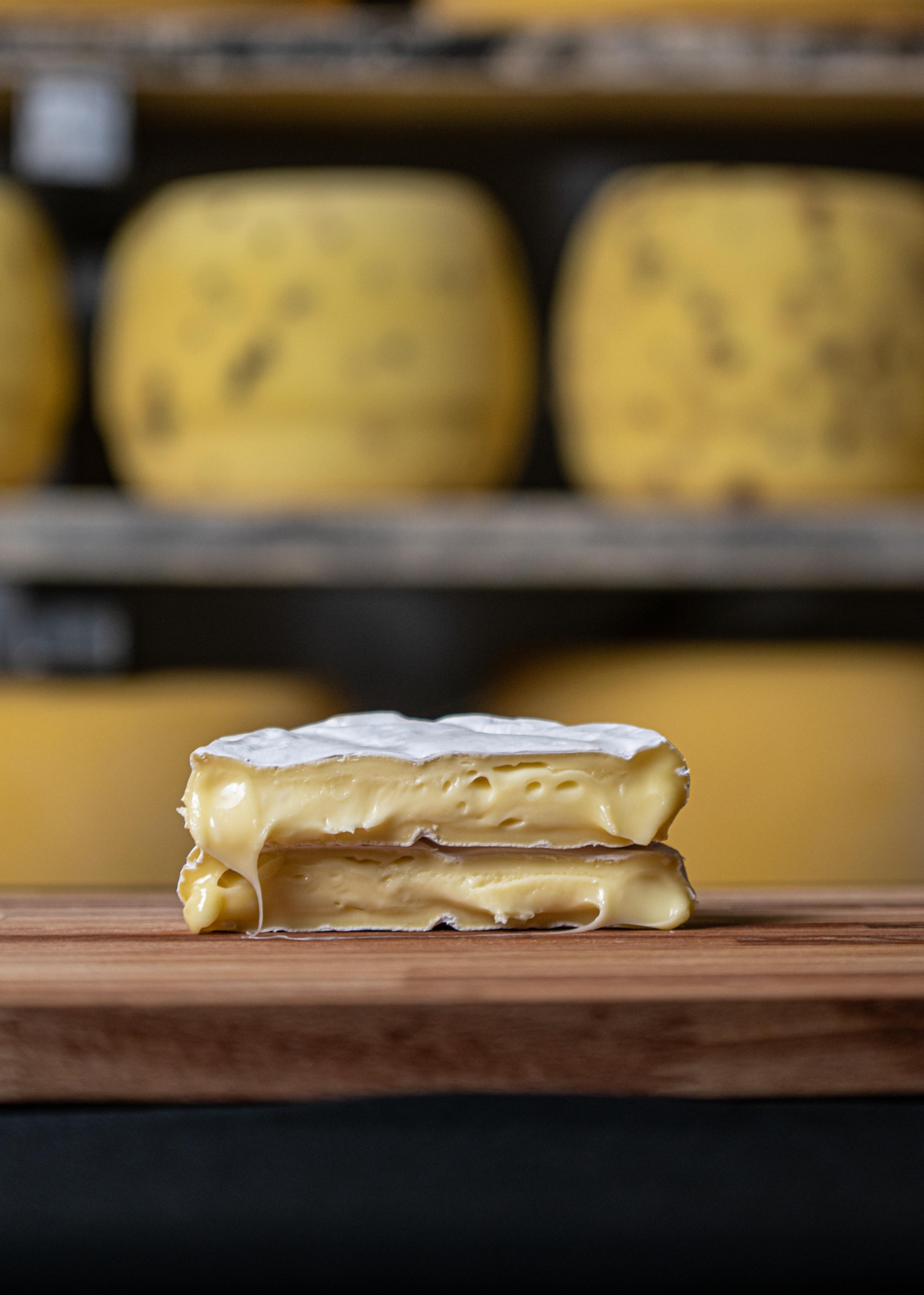 Queso Torta Brie Rostán